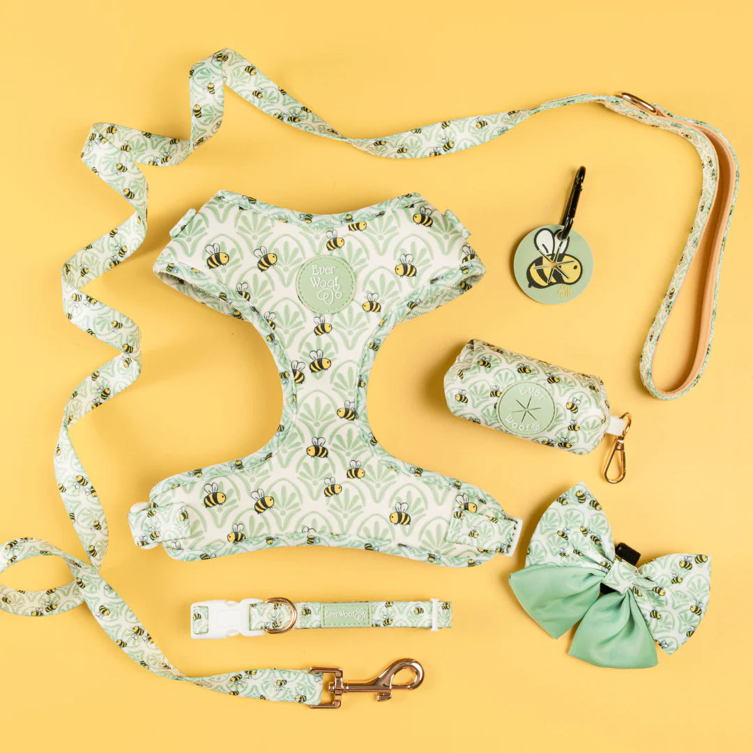 Little Honey | Leash