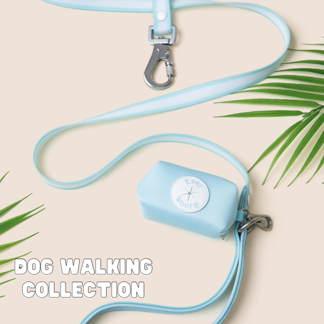 Dog Walking Collection