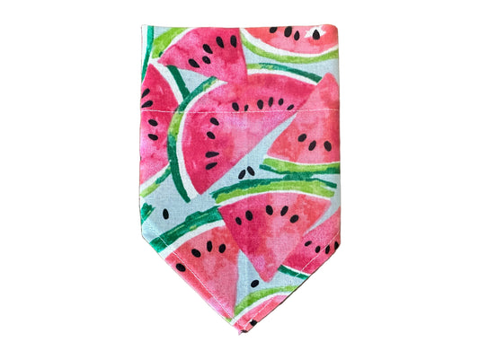 Watermelon | Bandana