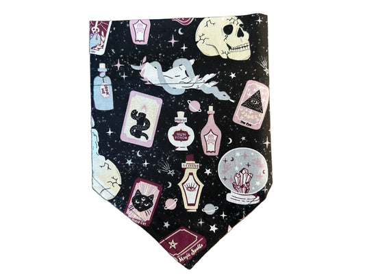 Skulls + Potions | Bandana
