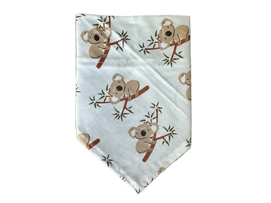 Koalas | Bandana