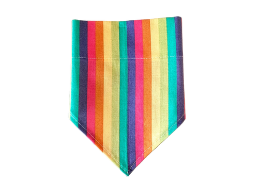 Neon Rainbow | Bandana