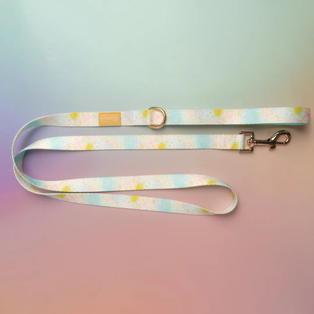 Paint the Town | Leash