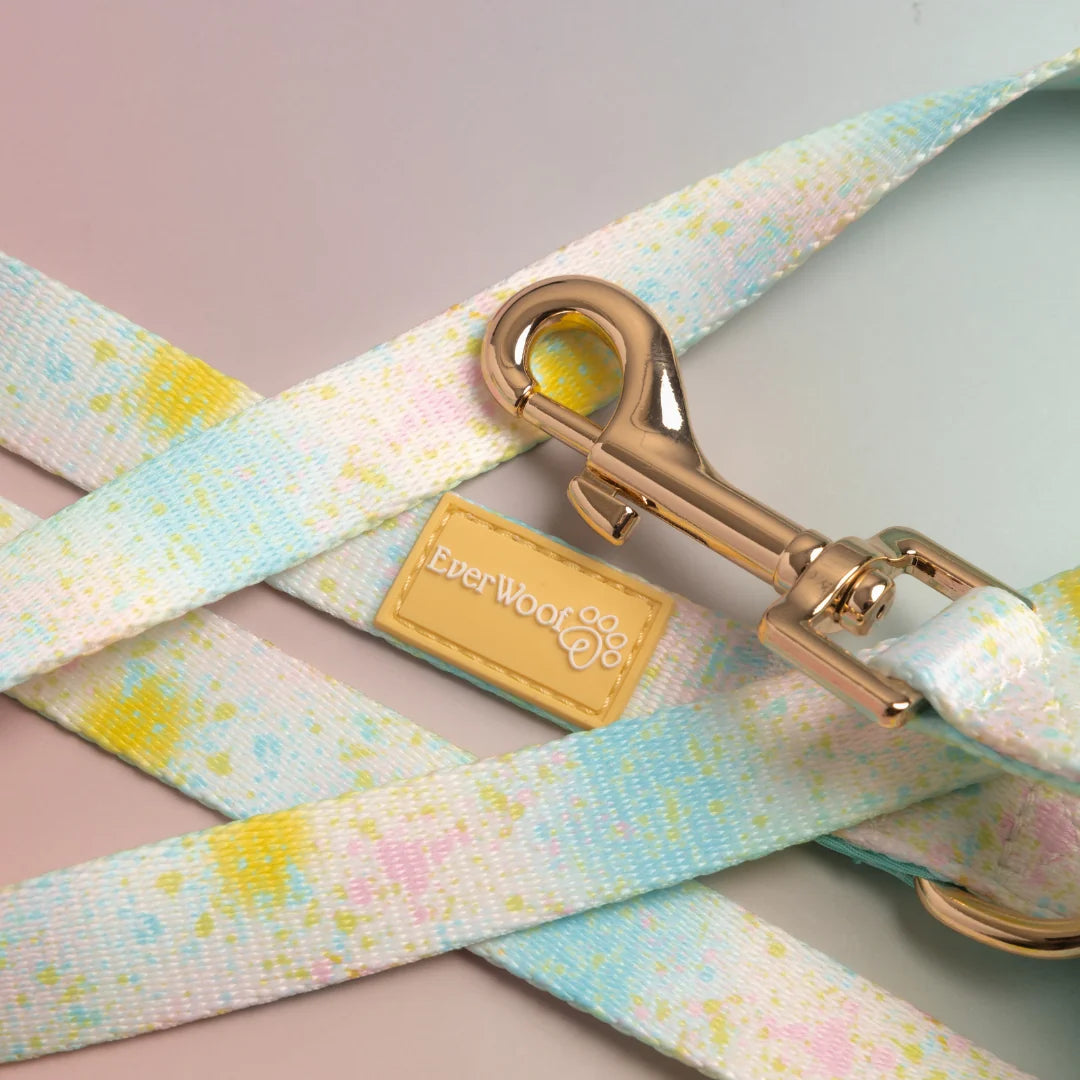 Paint the Town | Leash