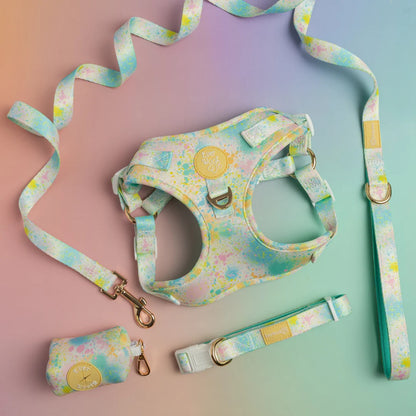 Paint the Town | Leash
