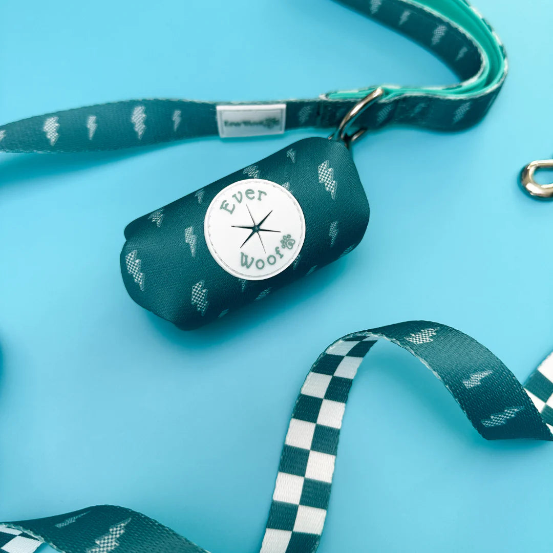 Thunderstruck | Waste Bag