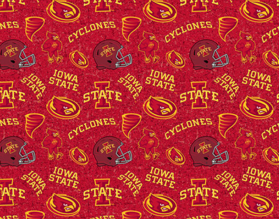 Iowa State University