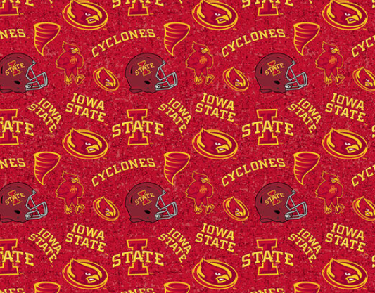 Iowa State University