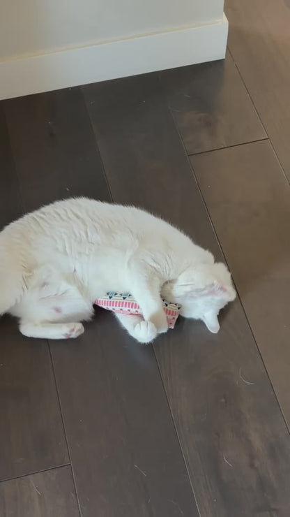 Kicker Cat Toy