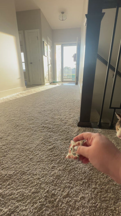 Catnip Pouch Cat Toy